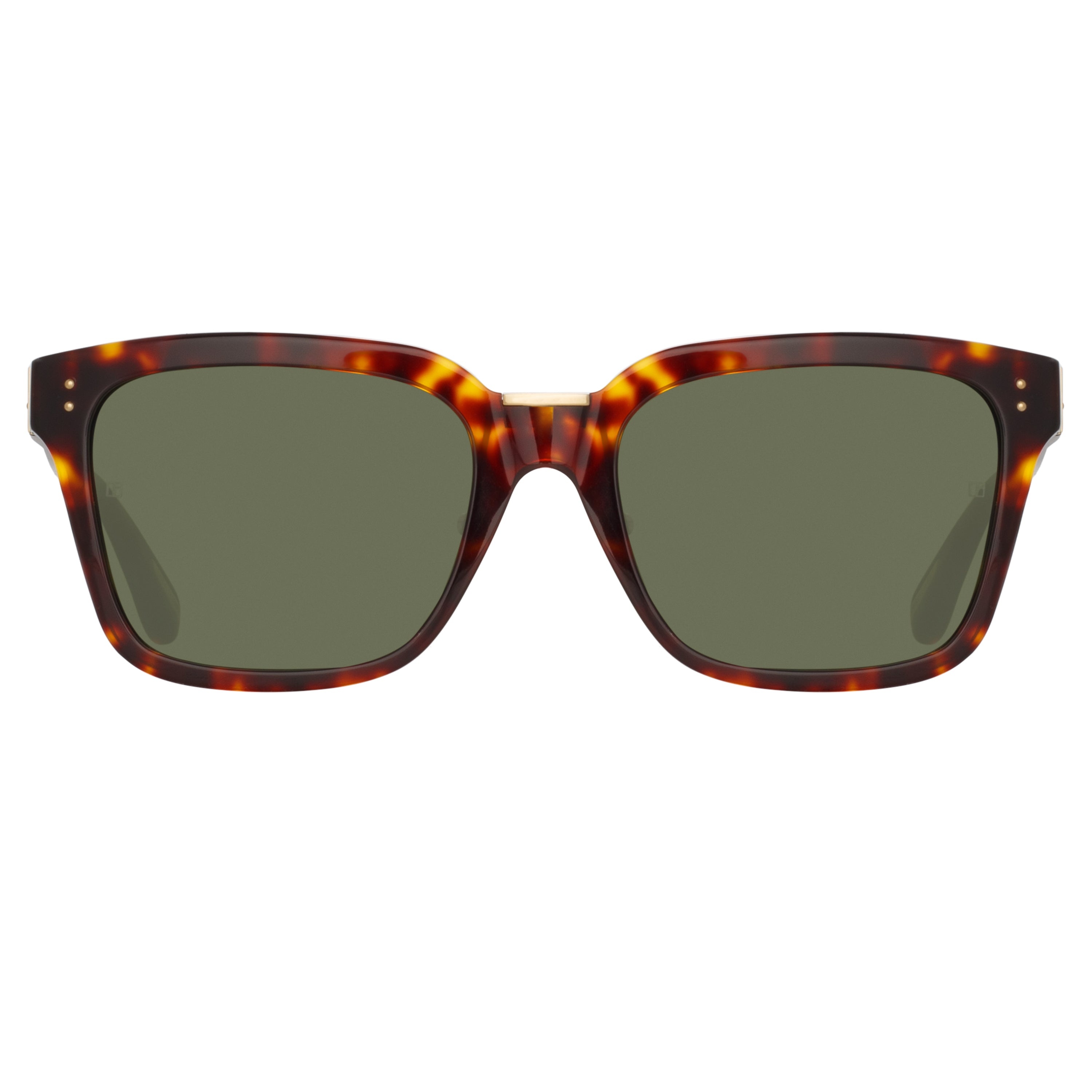 DESIREE D-FRAME SUNGLASSES IN TORTOISESHELL - 1