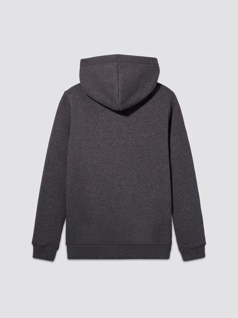 ALPHA INDUSTRIES YOUTH BASIC HOODIE outlook