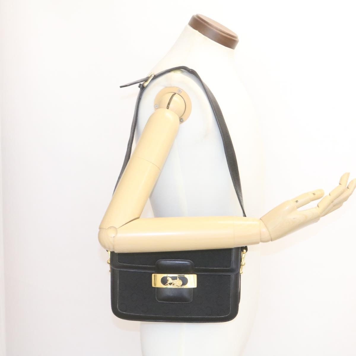 CELINE C Macadam Horse Carriage Shoulder Bag Canvas Black Gold - 12