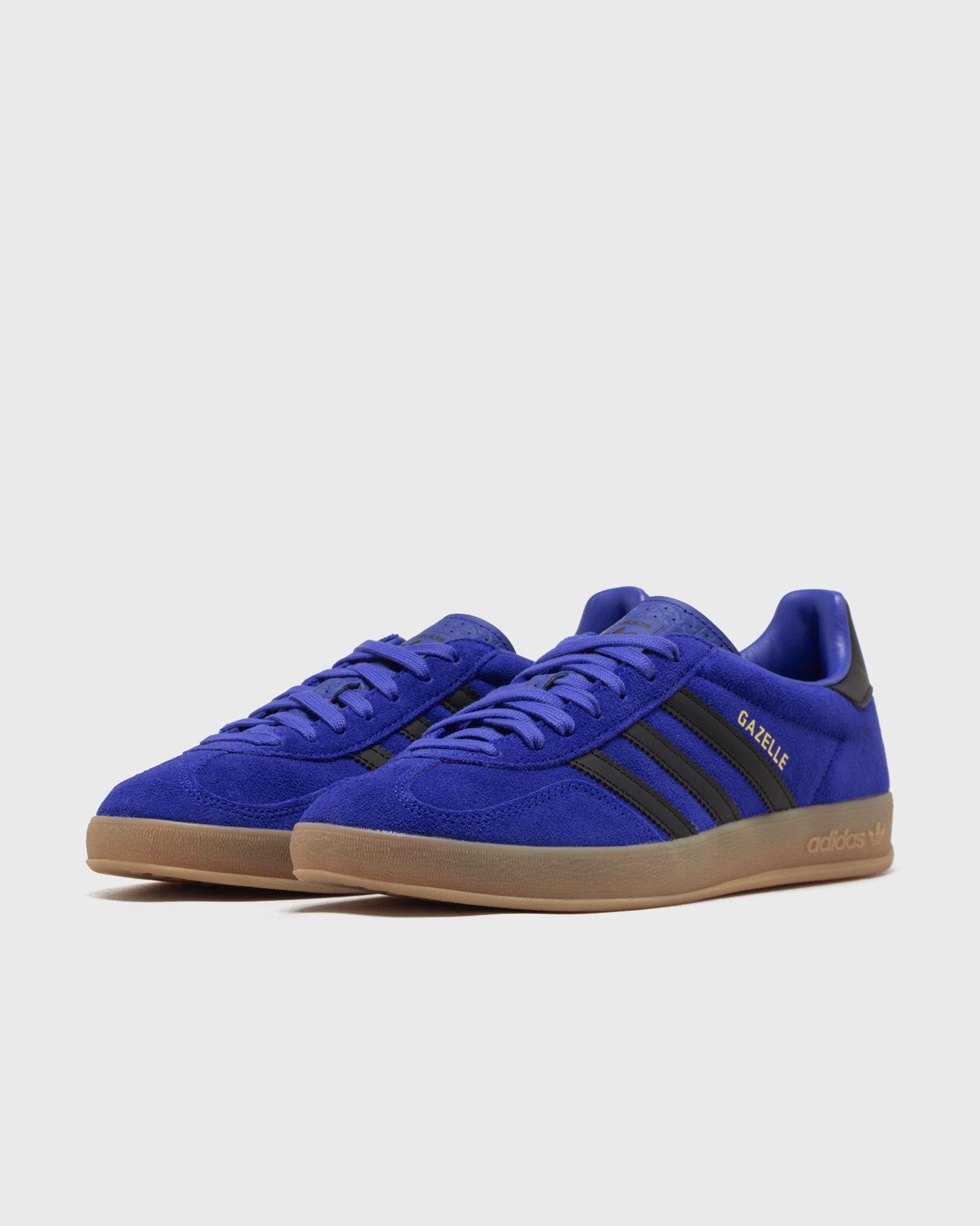 GAZELLE INDOOR - 2