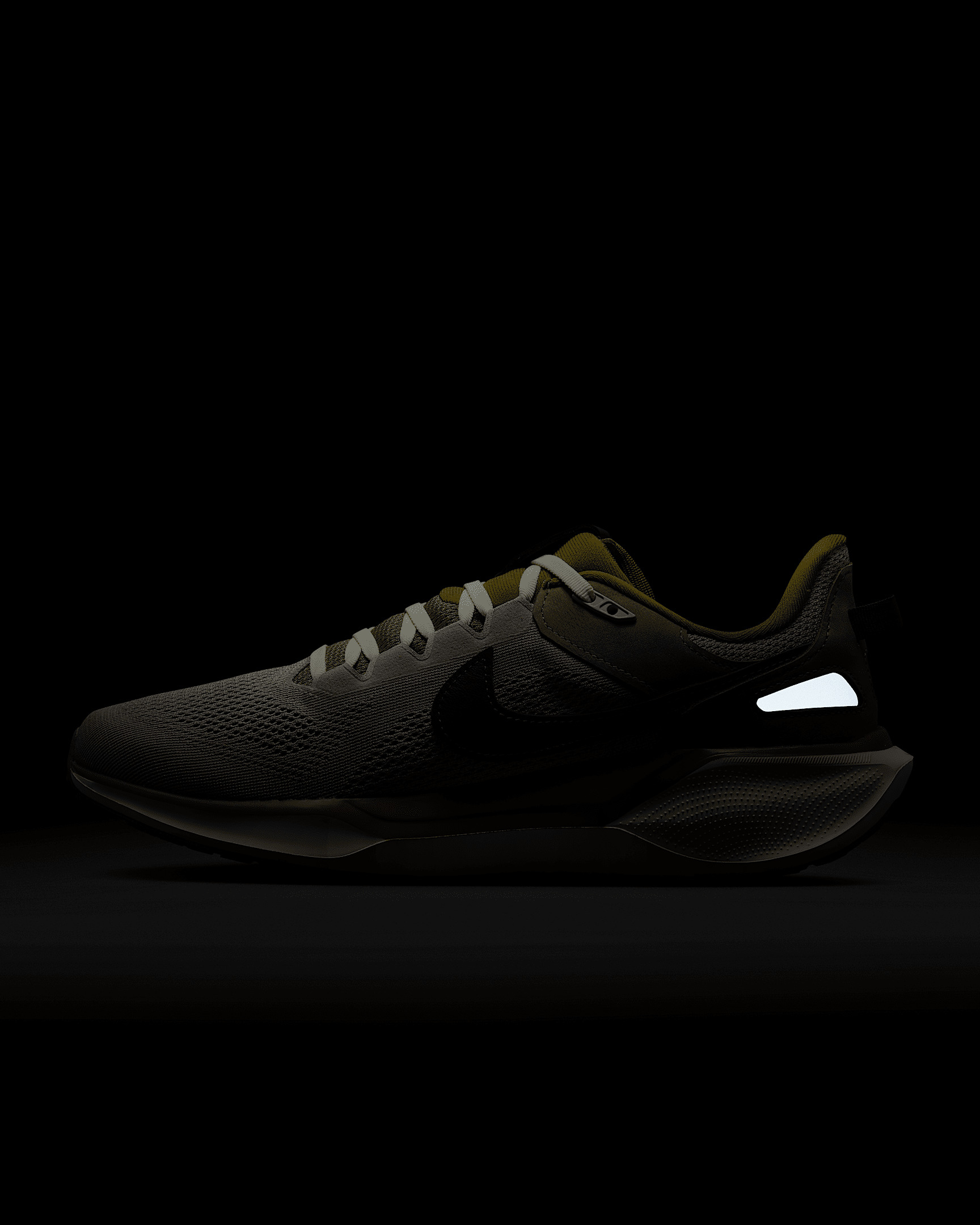 Nike Air Zoom Pegasus 41 SP Men's Shoes - 11