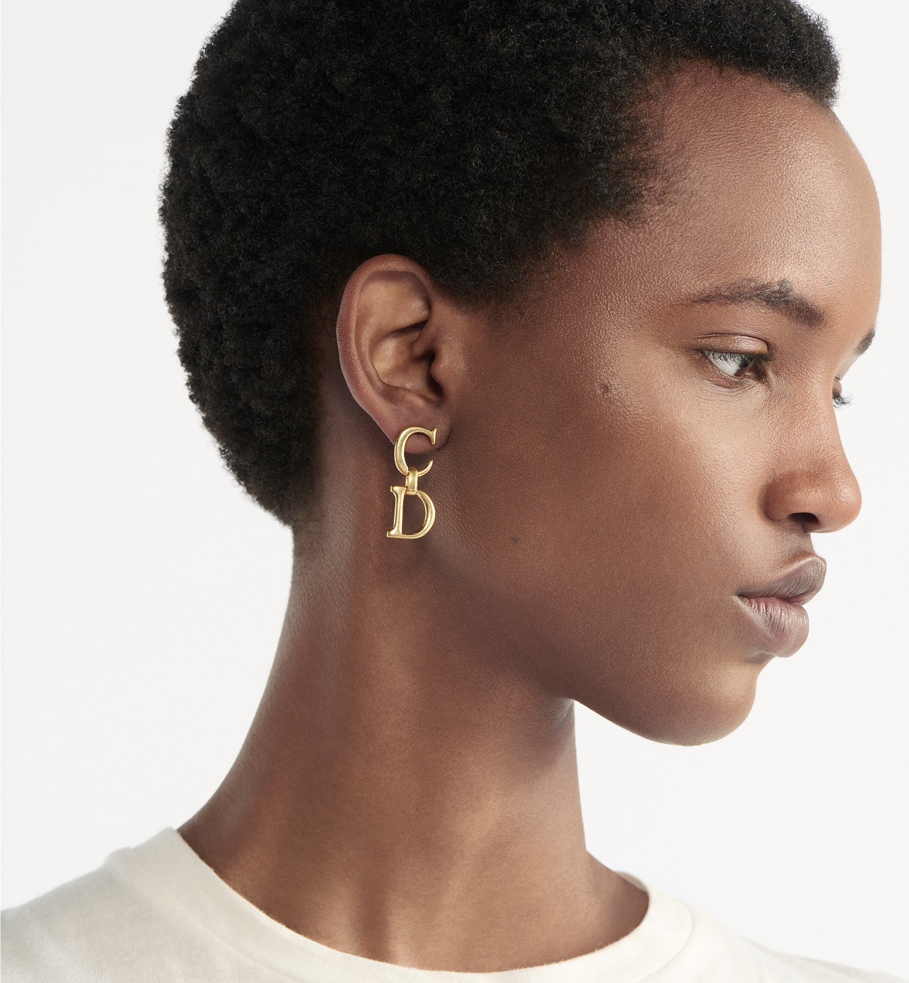 Saddle Earrings - 2