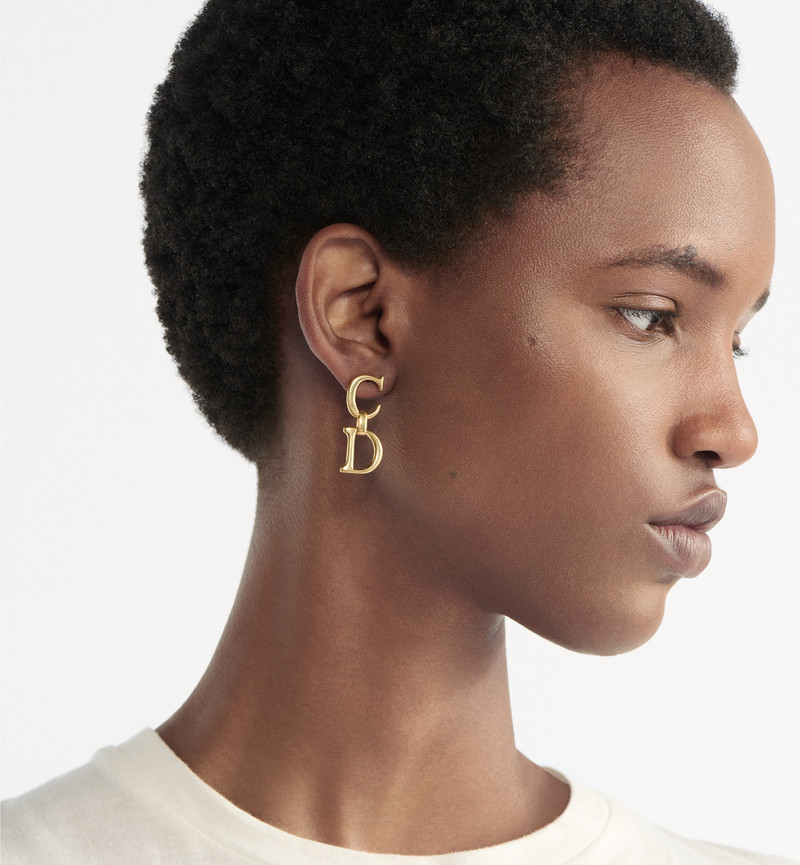 Dior Saddle Earrings outlook