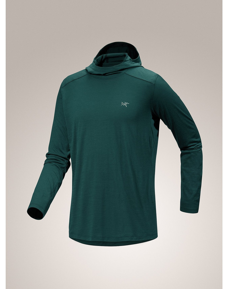 Ionia Merino Wool Hoody 8