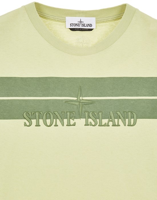 20847 COTTON JERSEY 'INVERSE STRIPE ONE' PRINT_GARMENT DYED LIGHT GREEN - 4