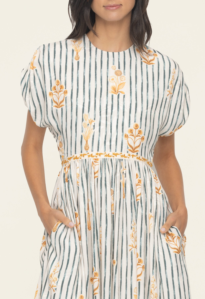 Aire Herbario Maxi Dress 7