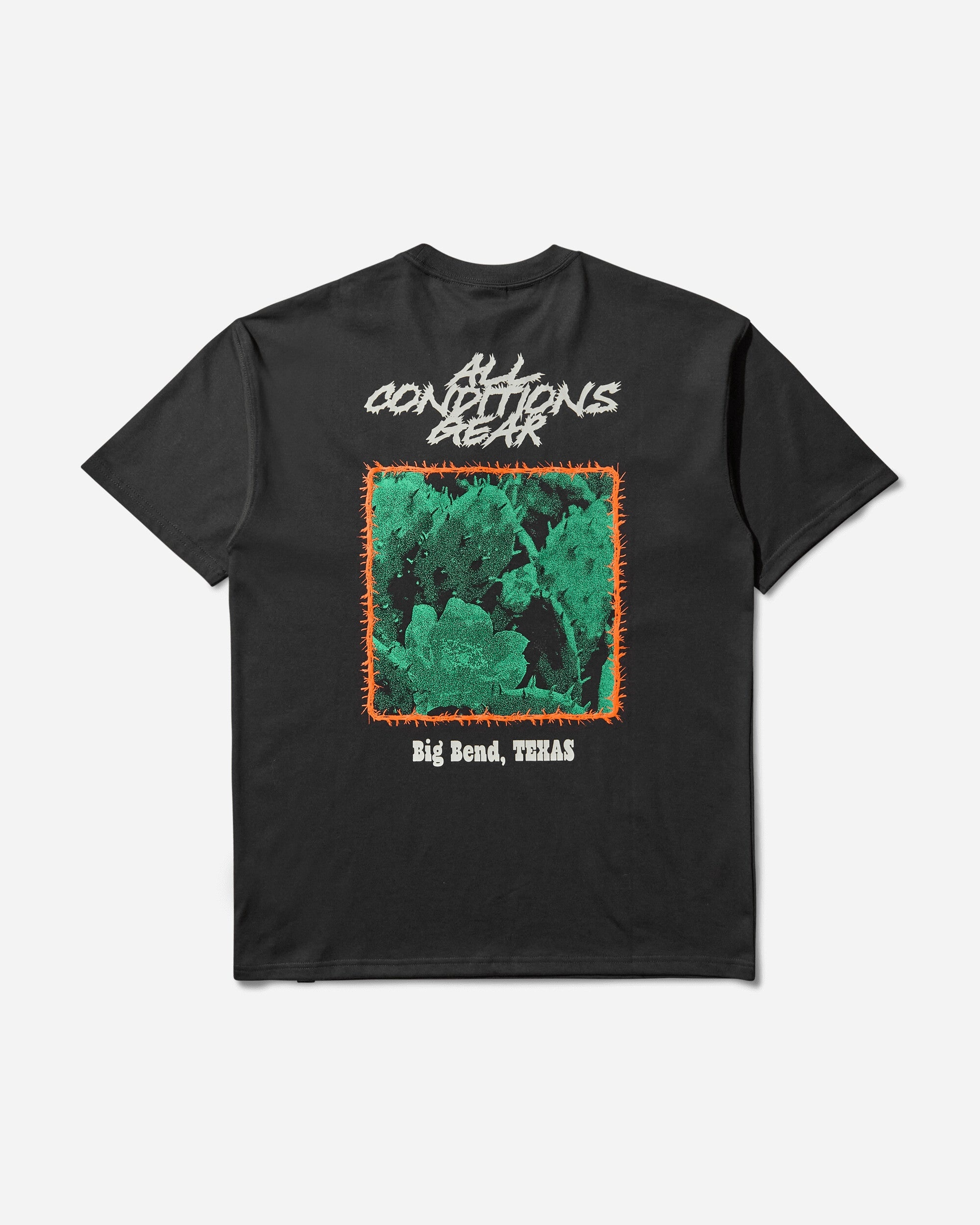 Men's ACG Cactus T-Shirt Black - 2