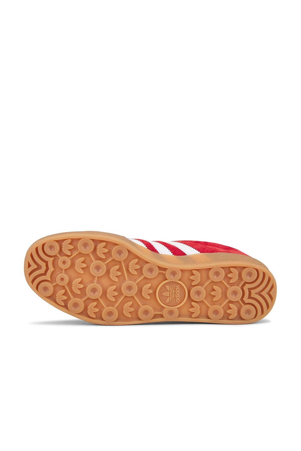 Gazelle Indoor - 6