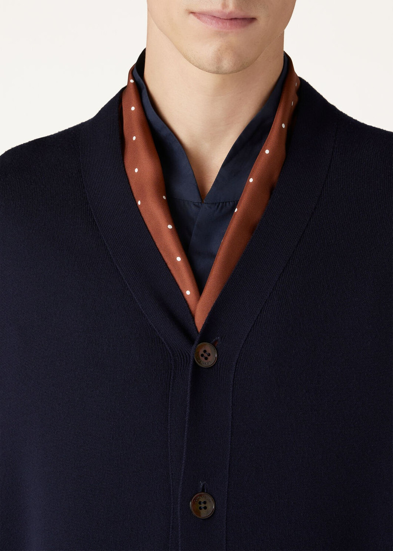 Loro Piana Pois Scarf outlook