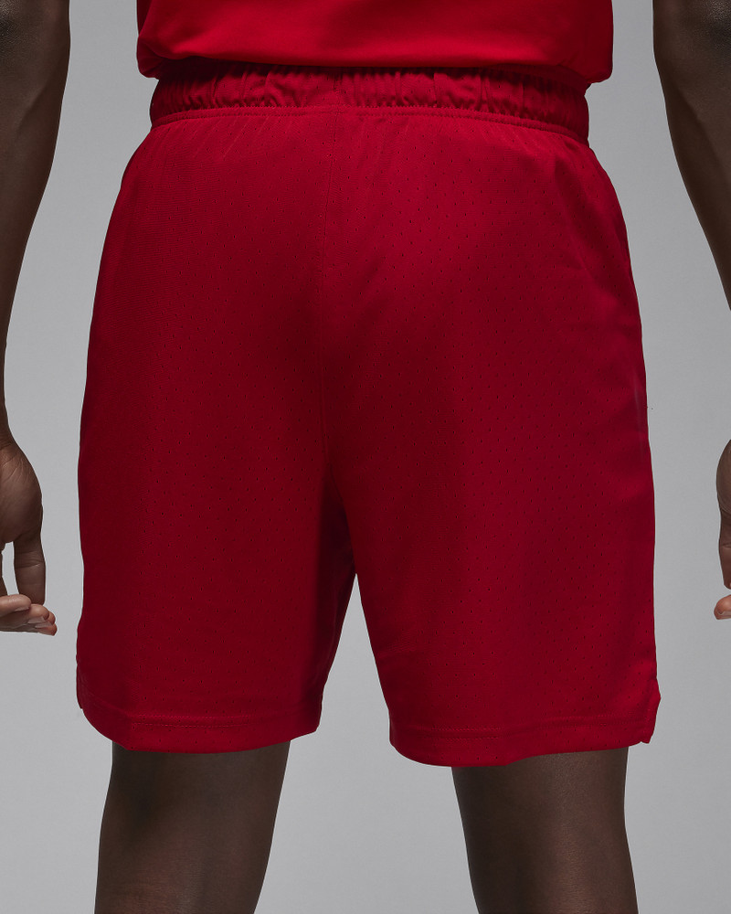 Jordan Jordan Sport Men's Dri-FIT Mesh Shorts outlook