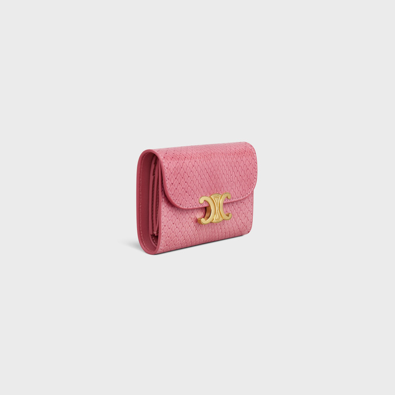 CELINE Small Flap Wallet TRIOMPHE in PYTHON outlook