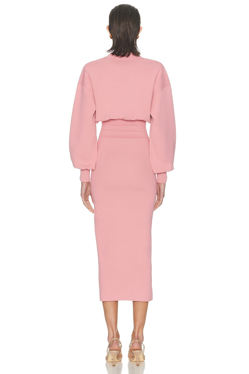 HELSA Hildie Polo Dress outlook