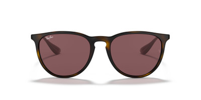 Ray-Ban ERIKA COLOR MIX outlook