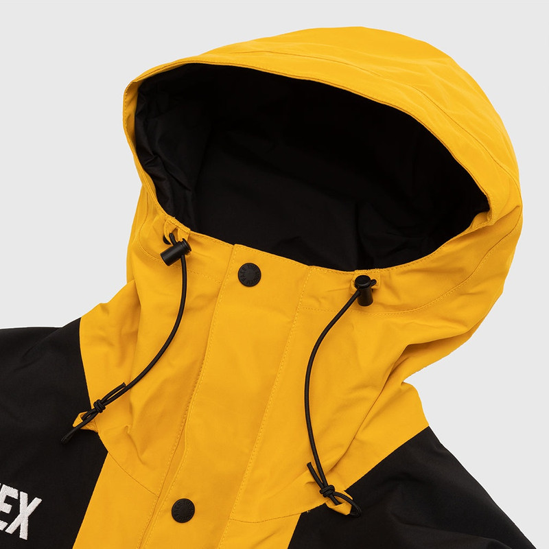 The North Face GORE-TEX MOUNTAIN JACKET outlook