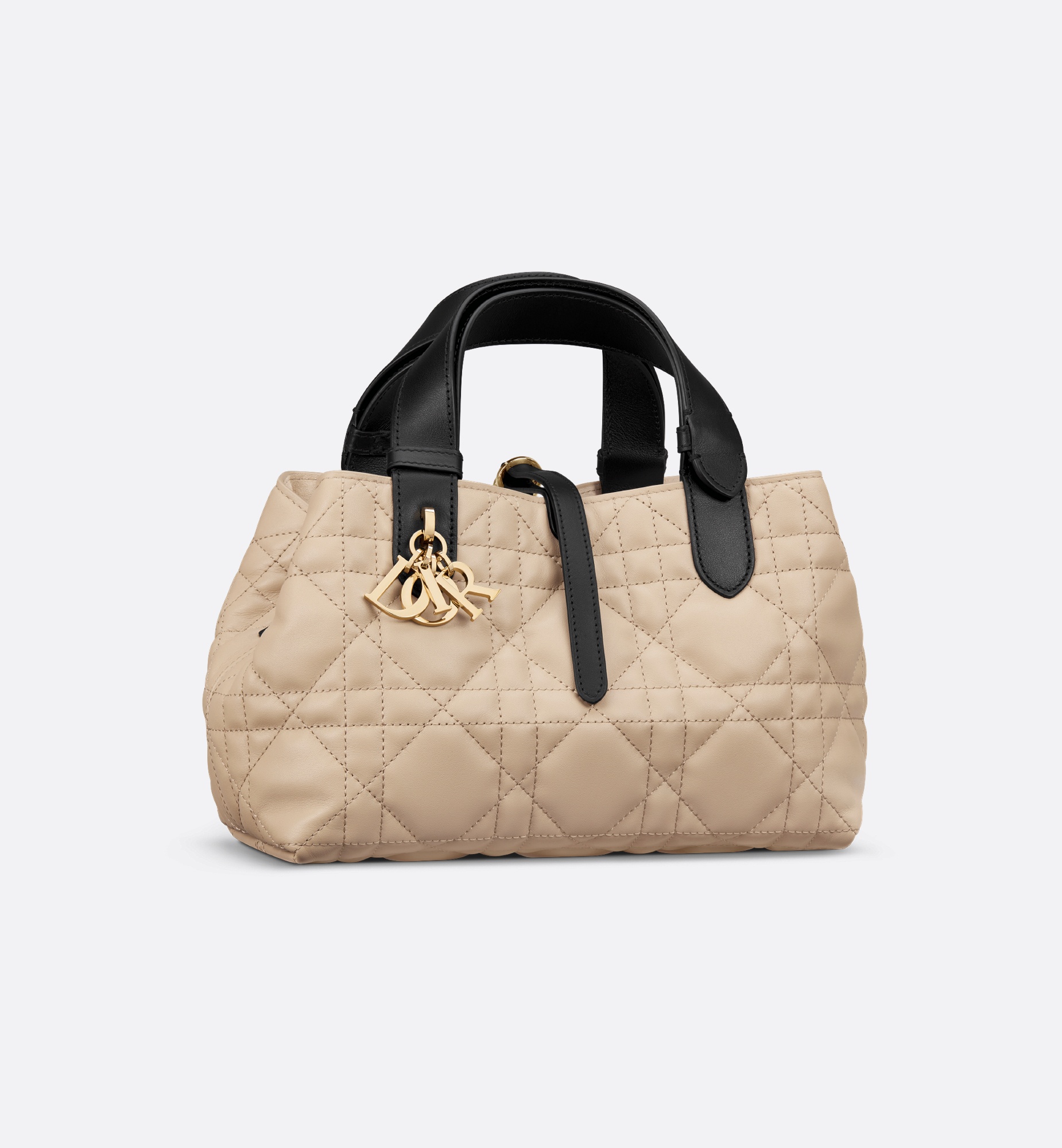 Dior Small Dior Toujours Bag | REVERSIBLE