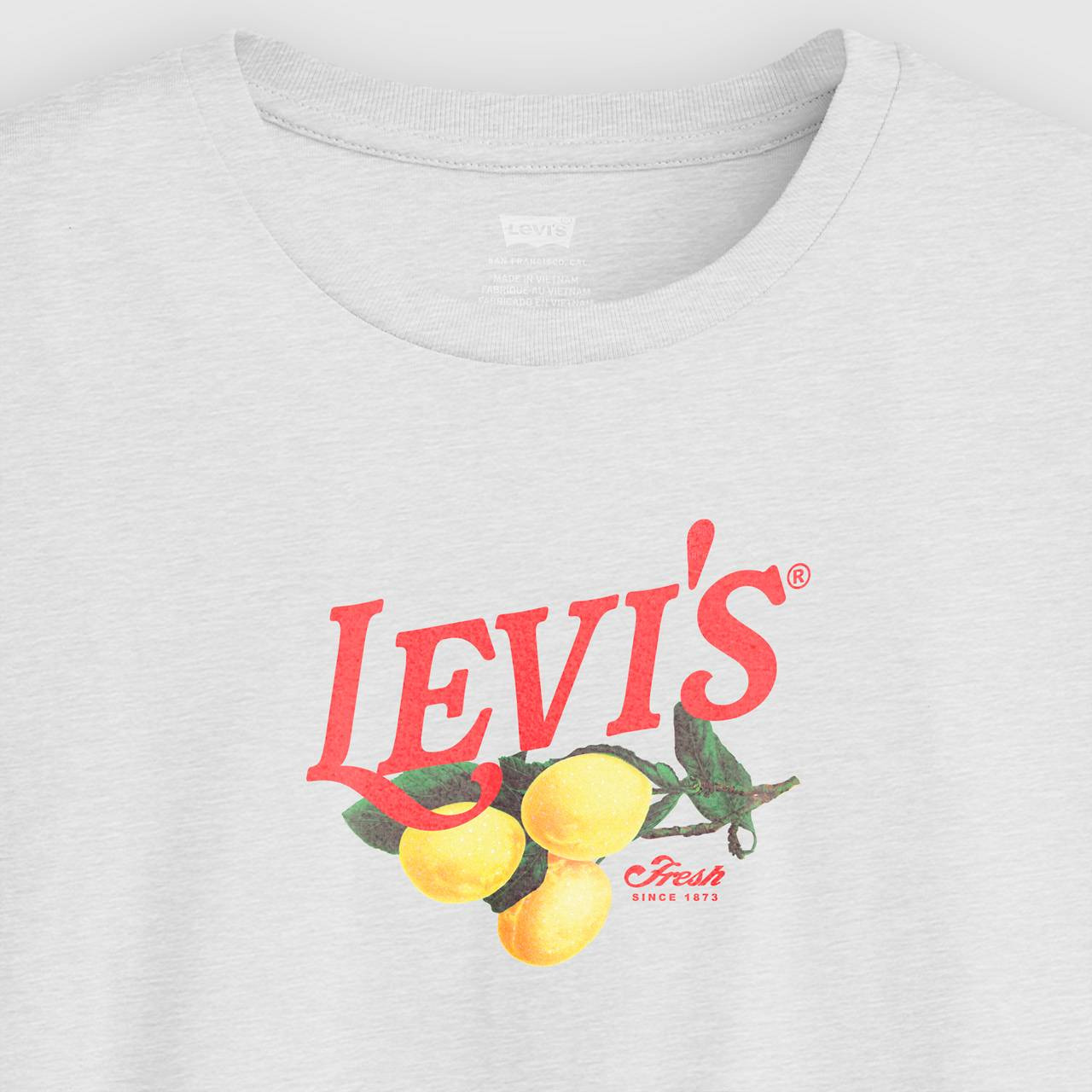 GRAPHIC PERFECT T-SHIRT - 6