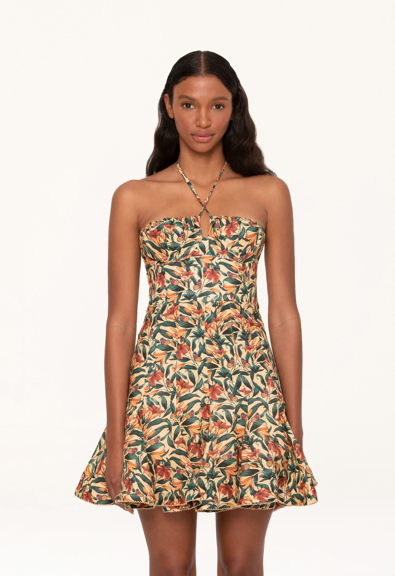 Anturio Monarca Mini Dress 5