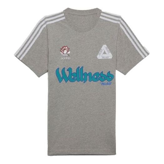 Palace X adidas Originals Wellness Graphic Short Sleeve T-Shirts 'Grey' HB1707 - 1