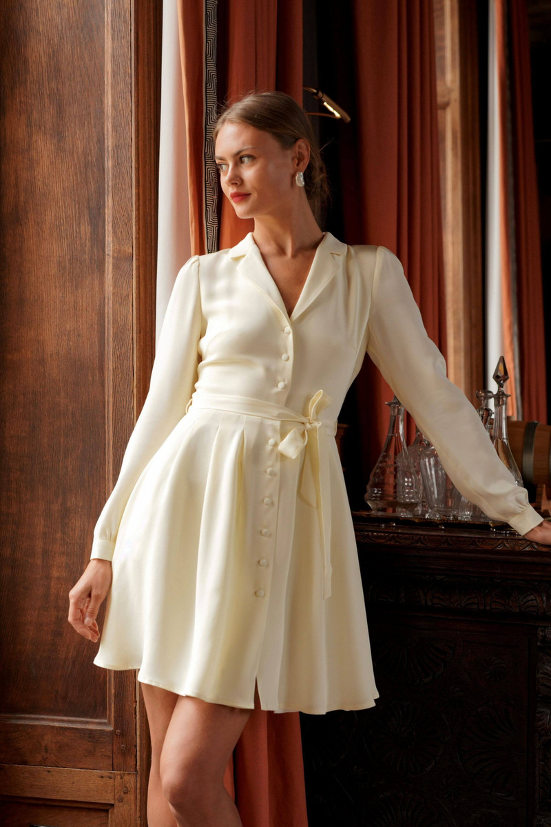 Noella Button Down Dress 9