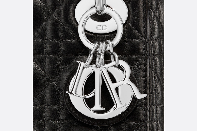 Mini Lady Dior Bag 6