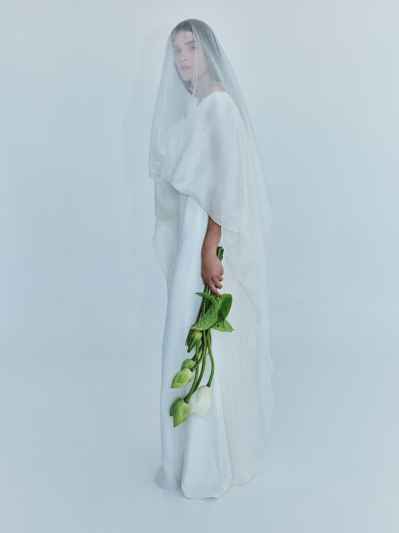 Vapour Overlay Silk Gown 1