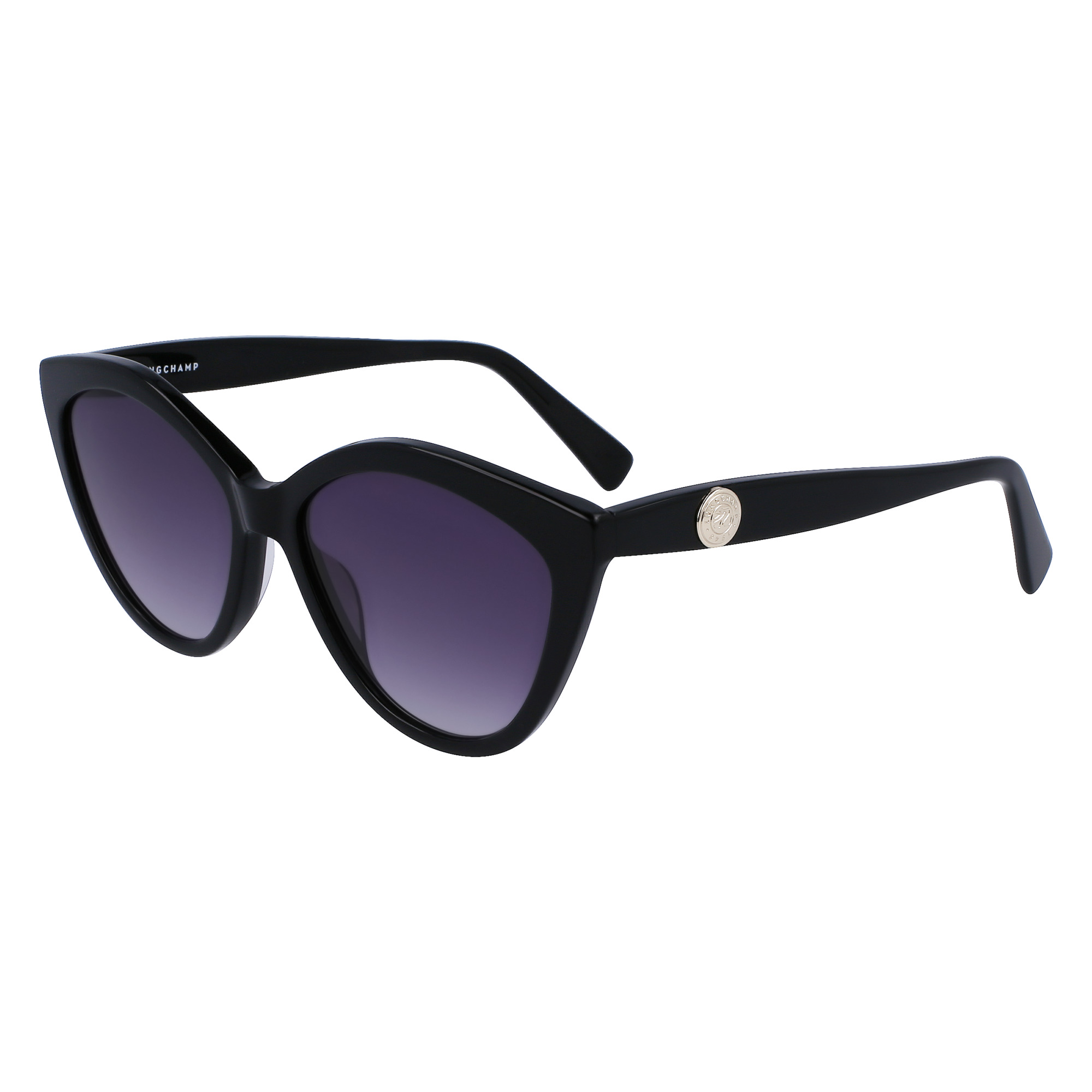 Fall-Winter 2023 Collection Sunglasses Black - OTHER - 2