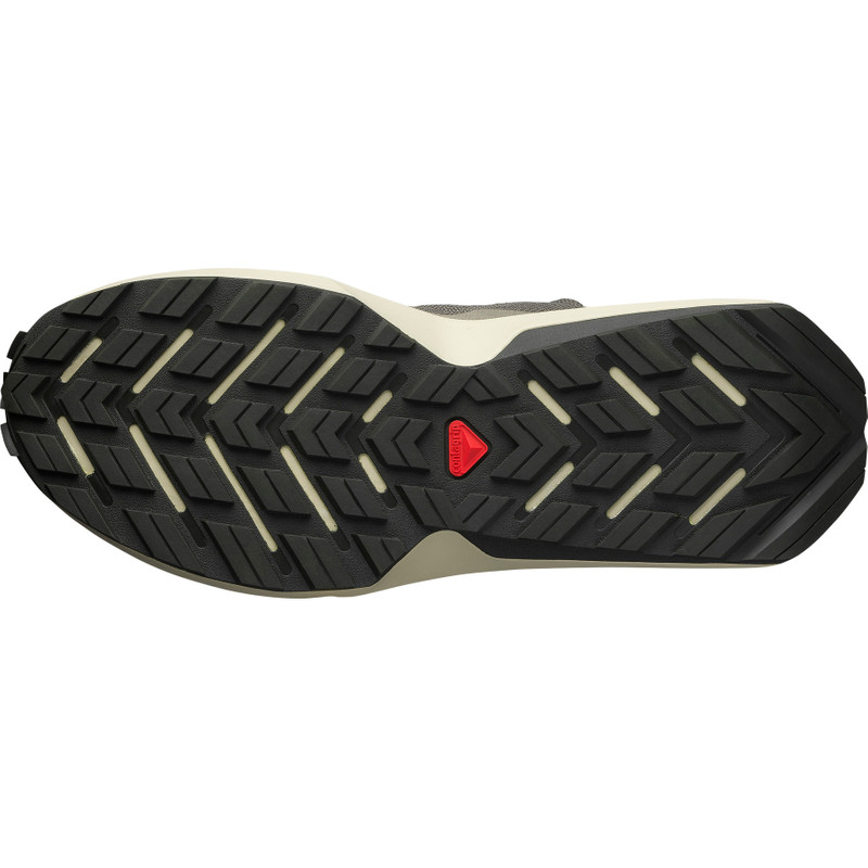 SALOMON ODYSSEY ELMT ADVANCED outlook