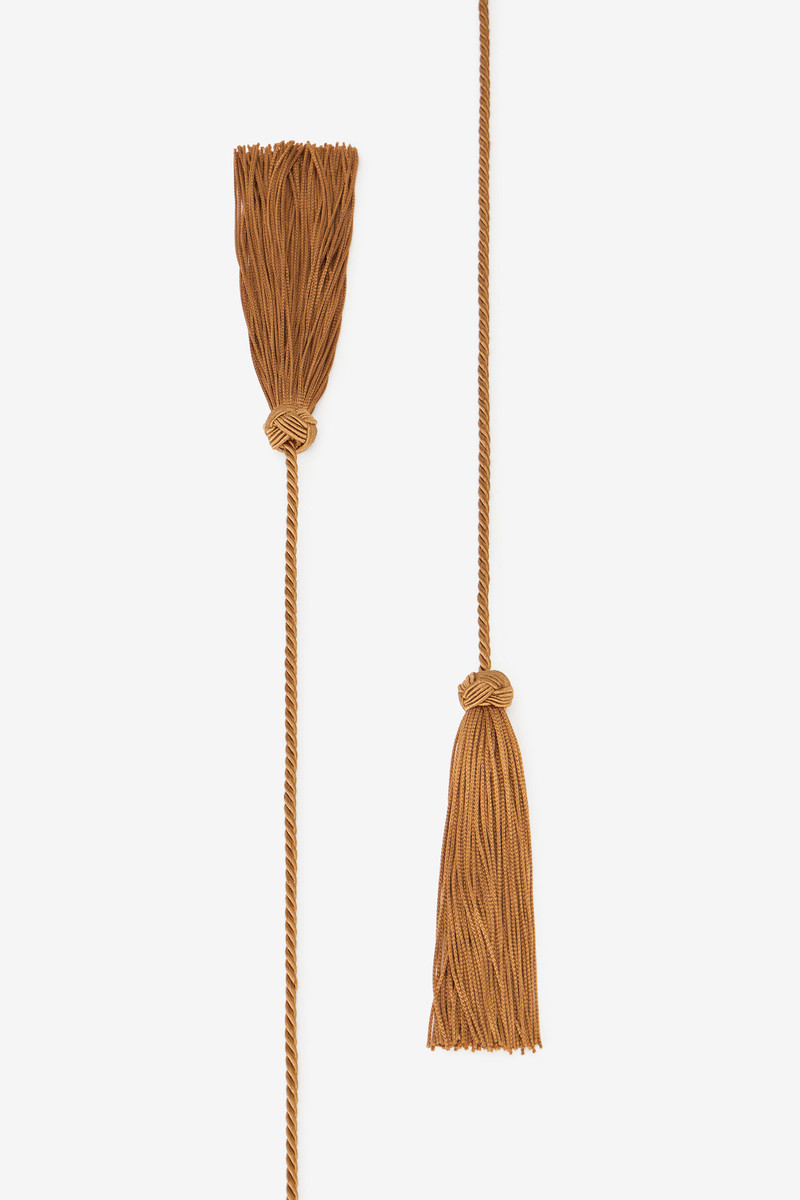 Roberto Cavalli Chocolate corset belt in velvet with tassels outlook