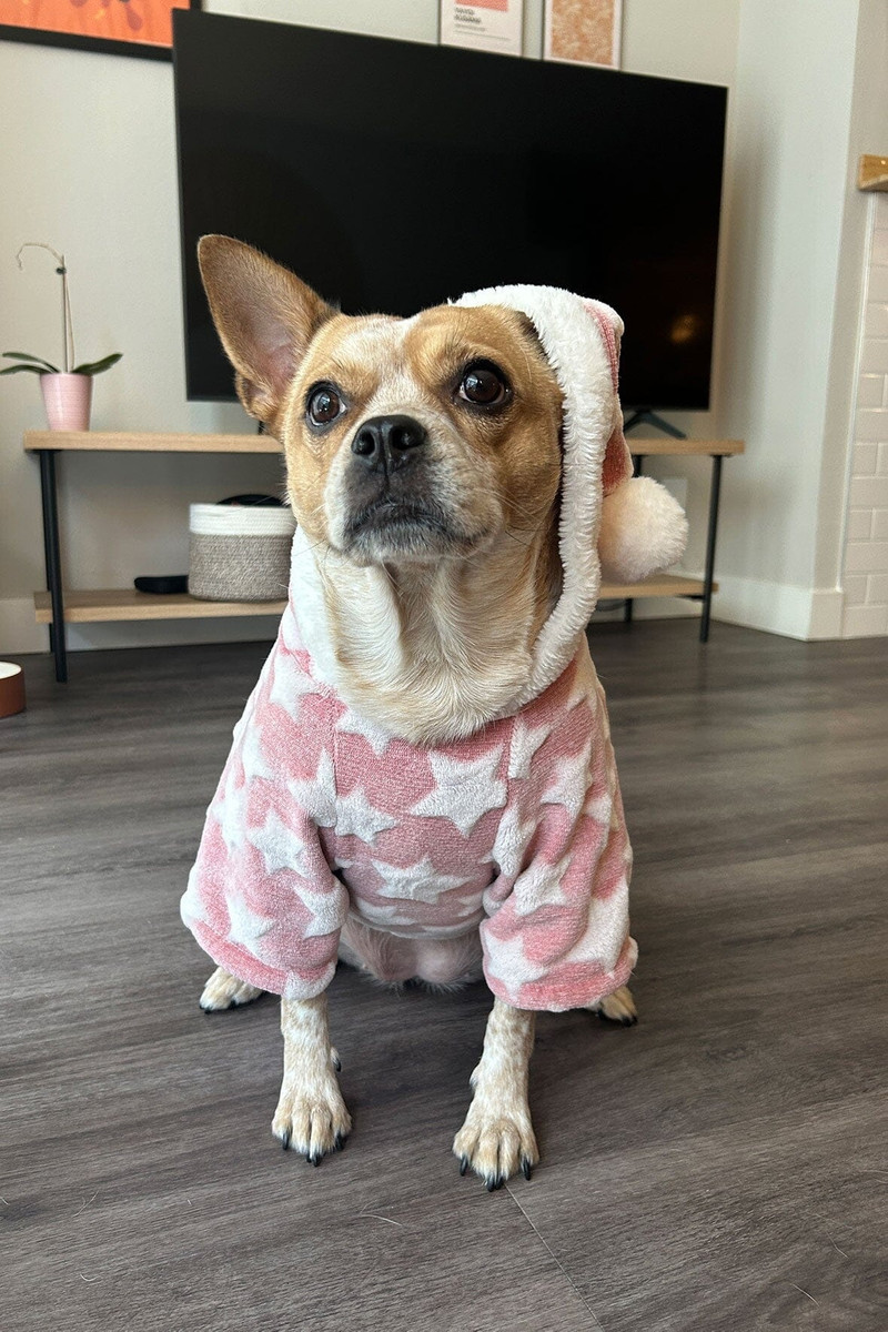 STAUD CUSTOM SHIRLEY LEATHER BAG | BLUSH 7