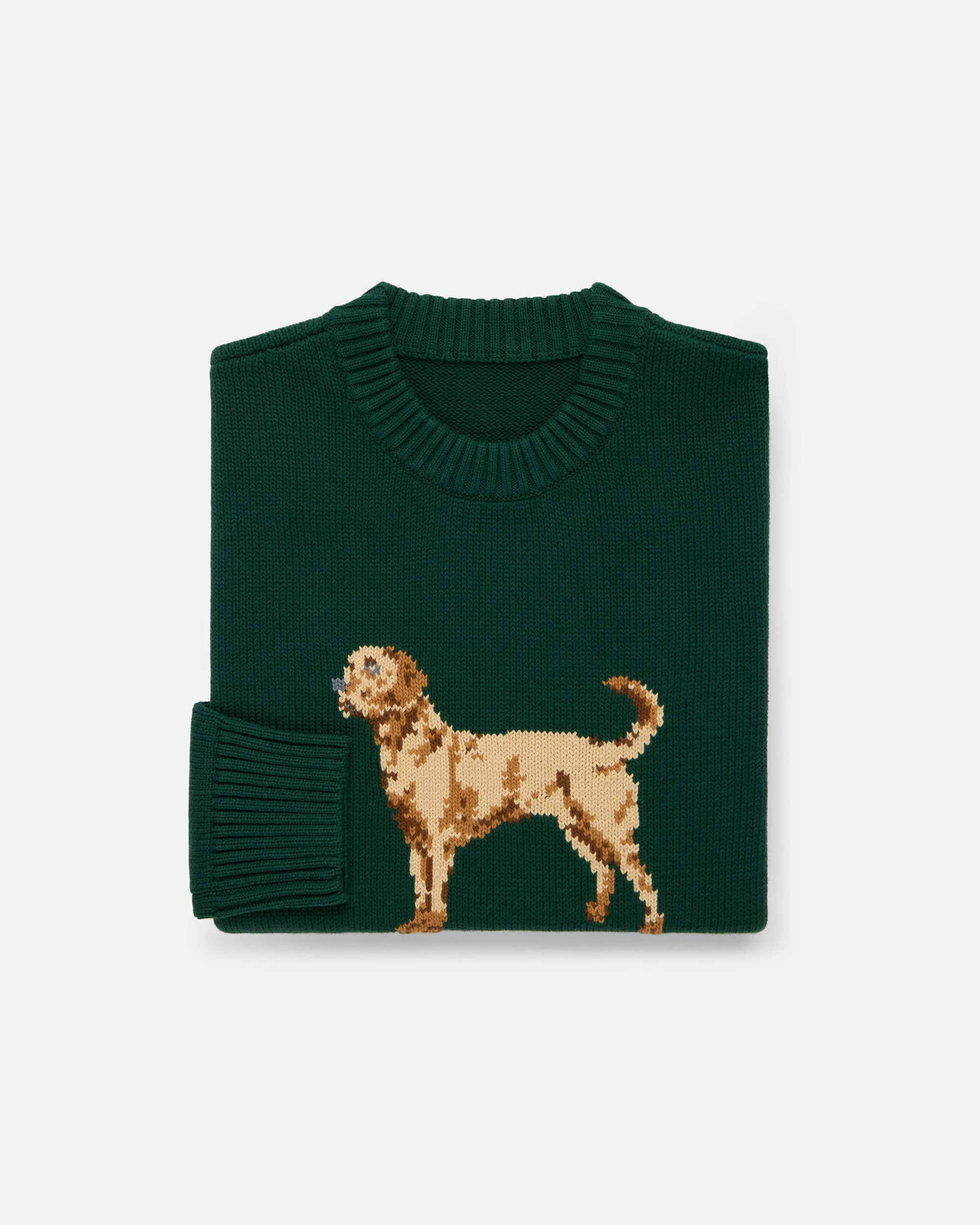 RETREIVER INTARSIA KNIT COTTON SWEATER - 1