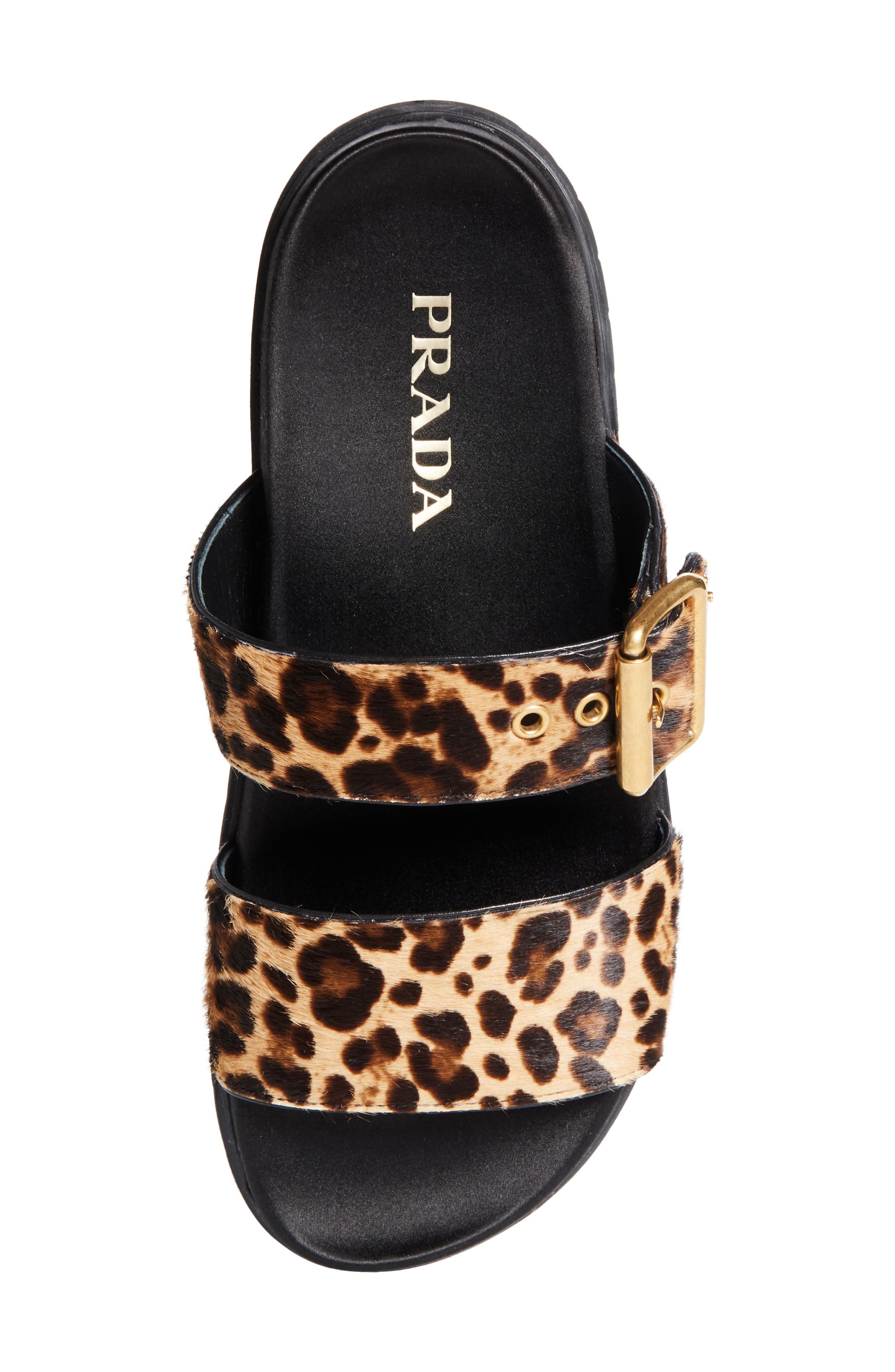 Prada Buckle Slide Sandal in Miele at Nordstrom - 5