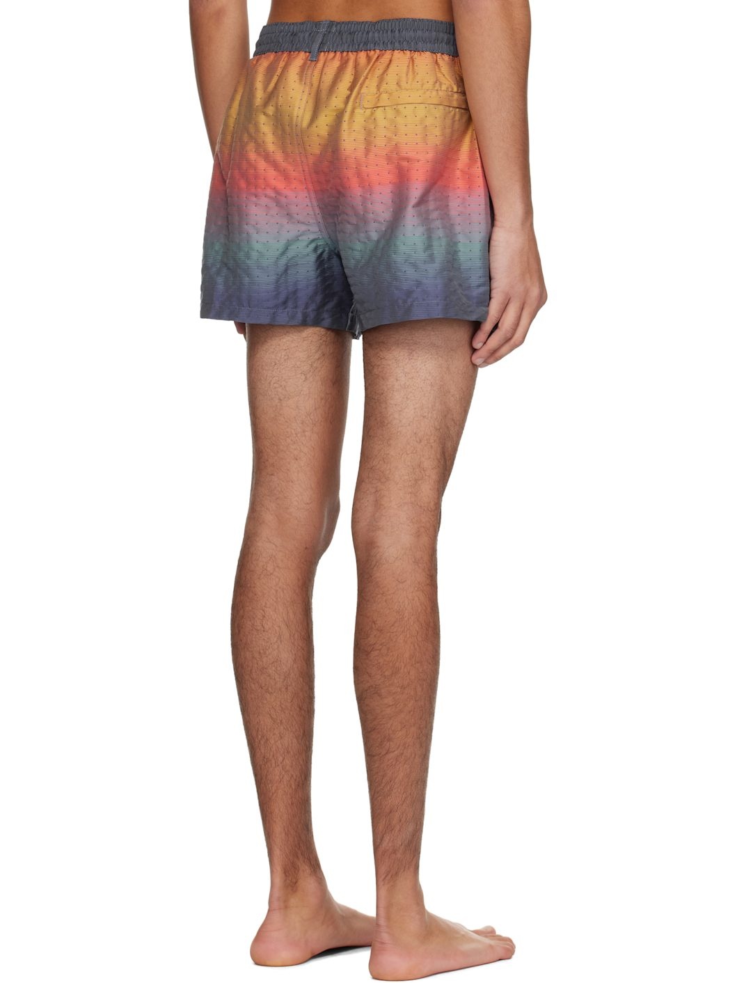 Multicolor Artist Stripe Swim Shorts - 3