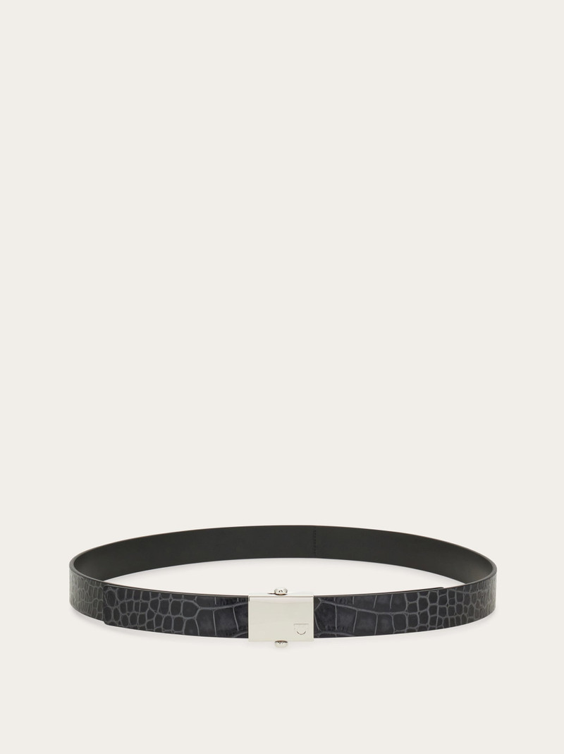 Reversible belt 3