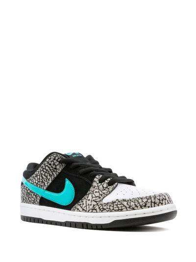 Nike SB Dunk Low Pro sneakers outlook