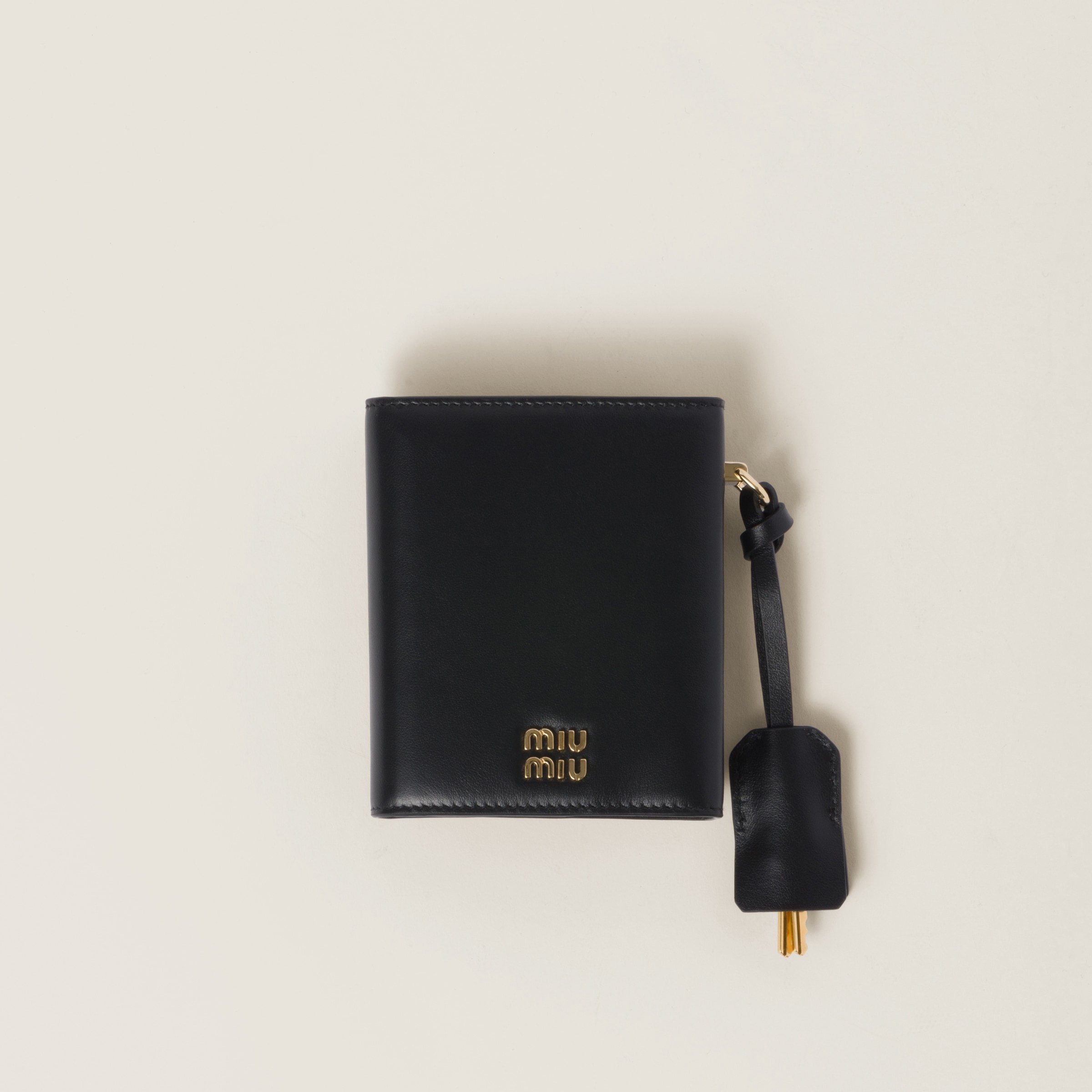 Diary with leather case - 2