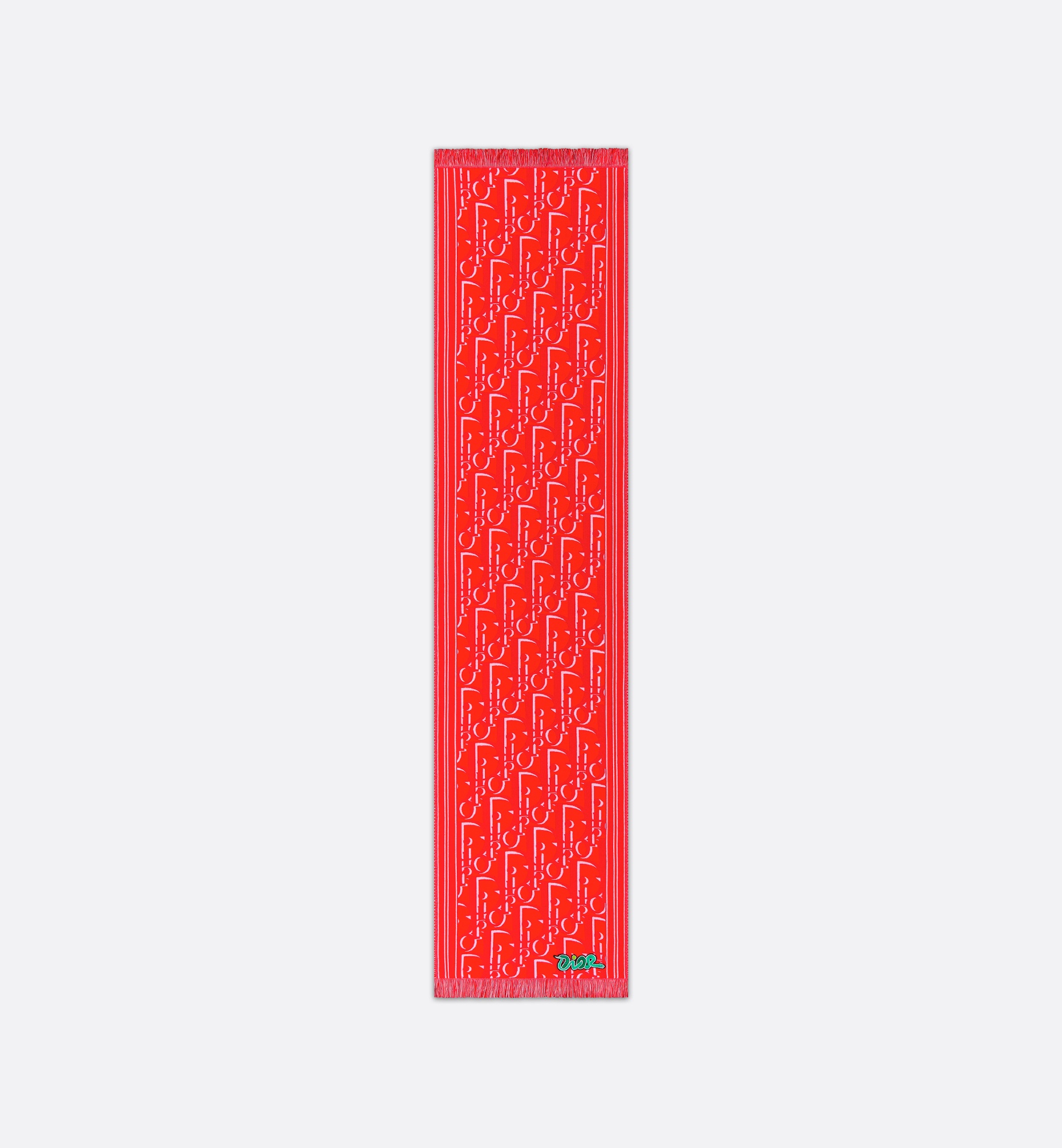 DIOR AND KAWS Scarf - 6