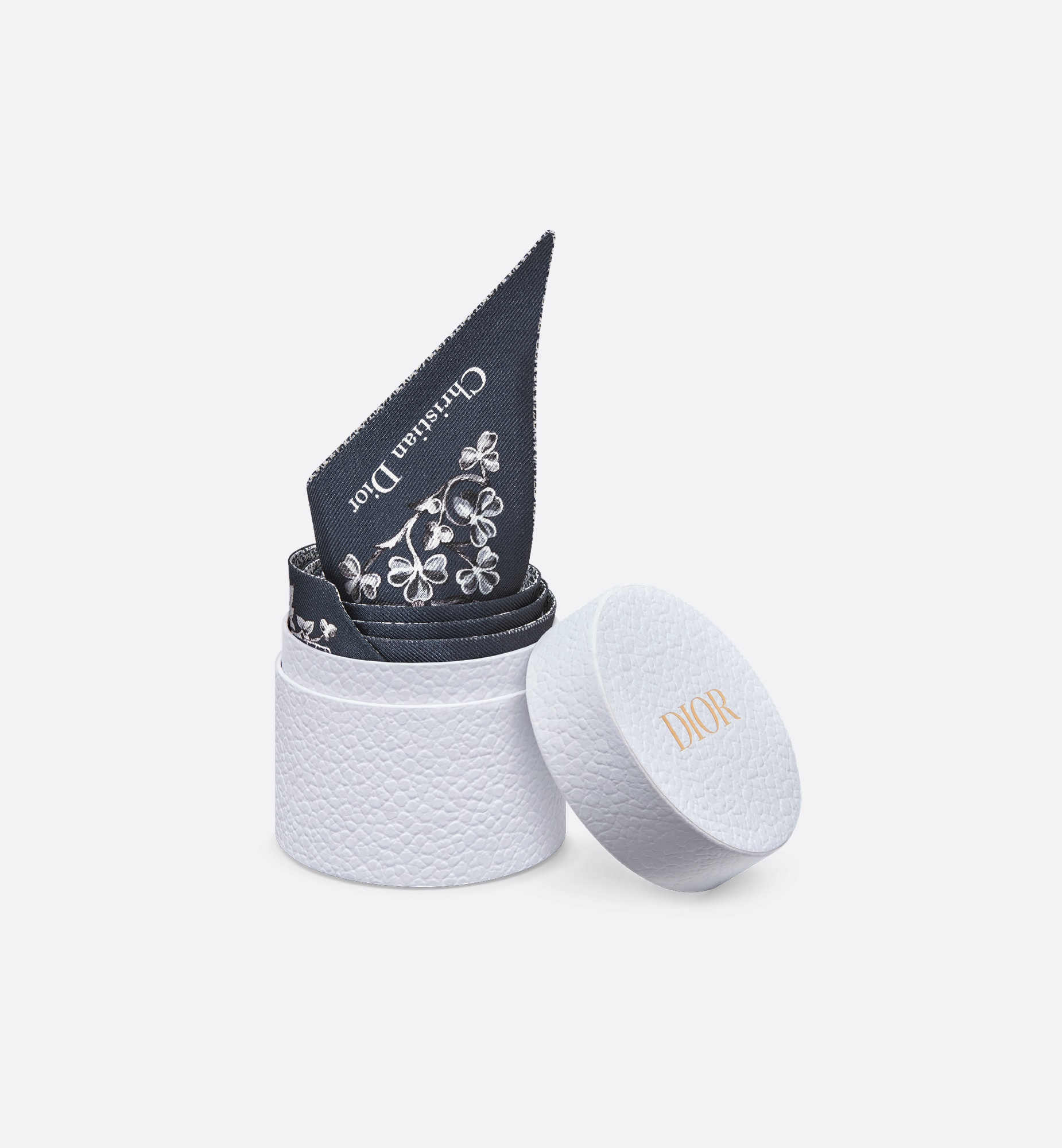 Dior Around the World Mitzah Scarf - 3