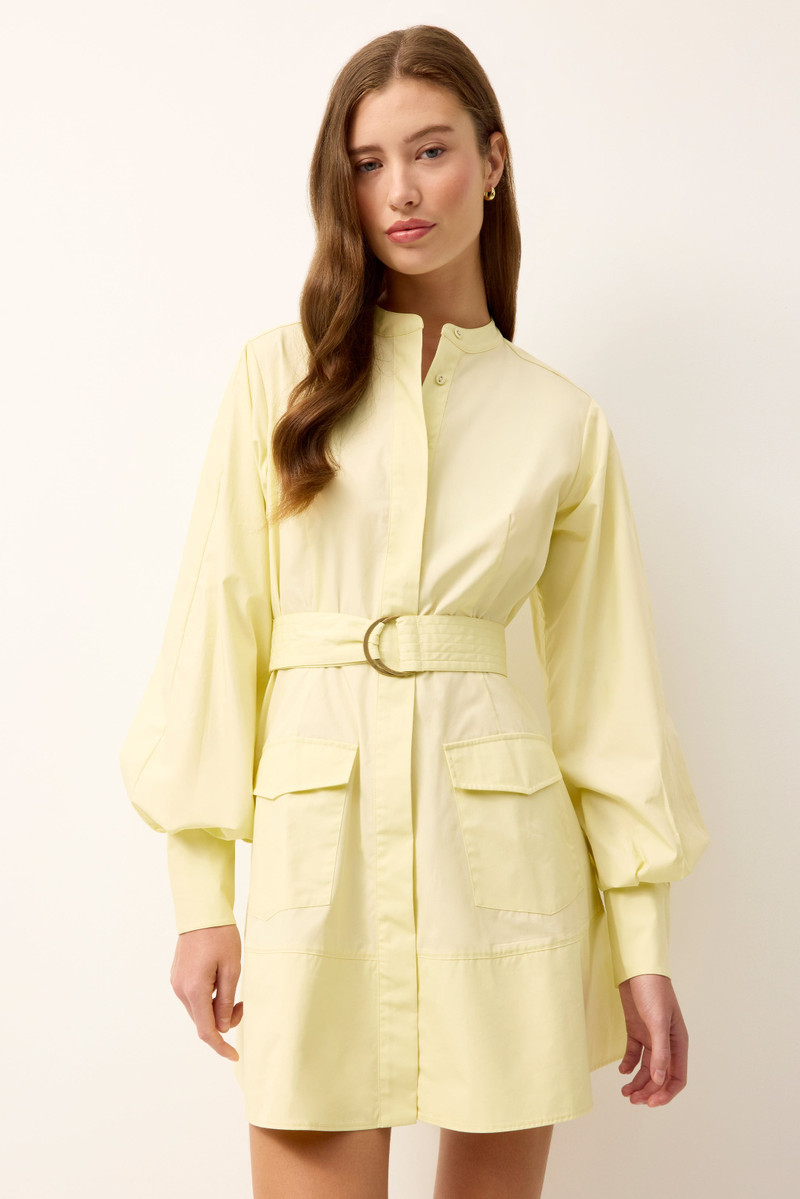 MARIE OLIVER HUGHES DRESS outlook