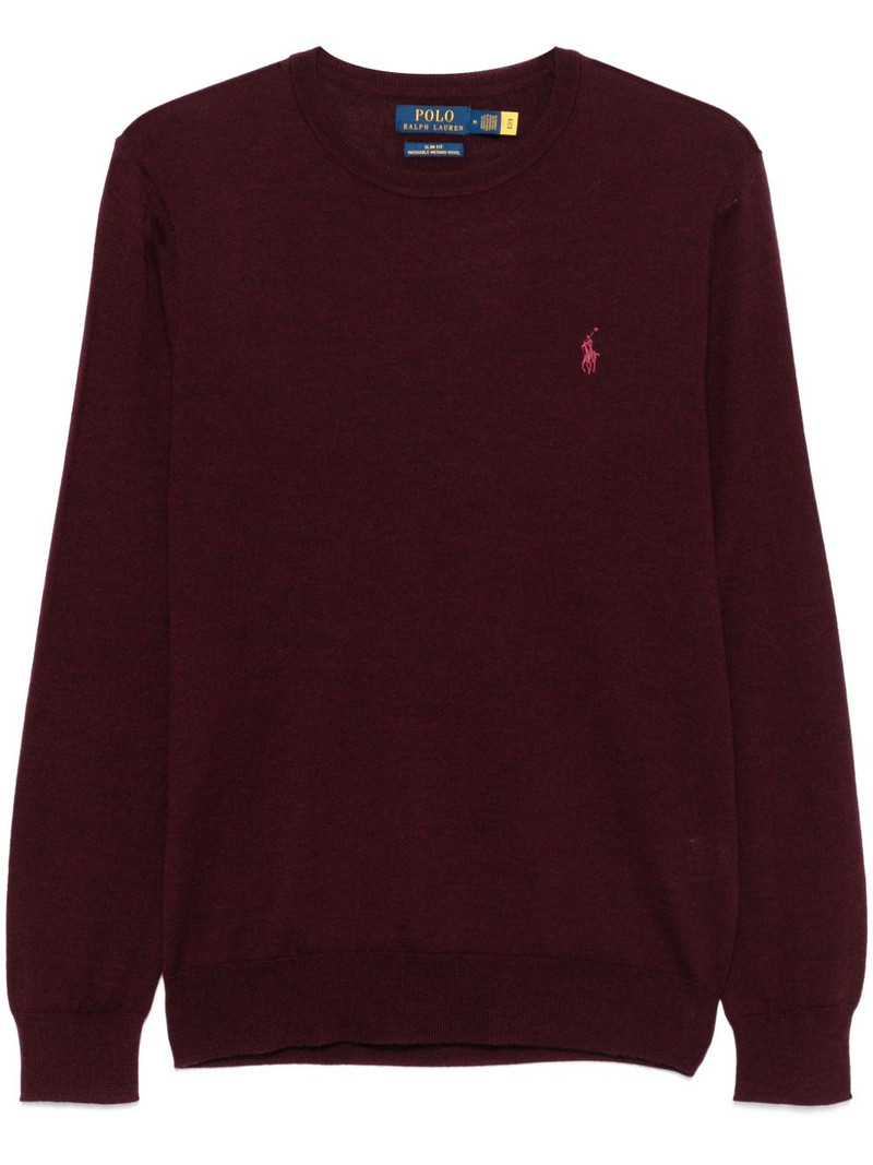 Polo Pony sweater 1