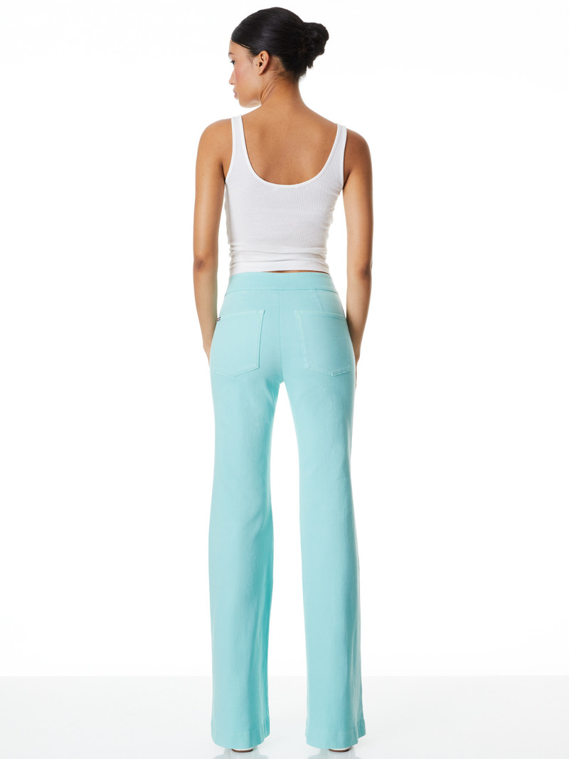 DYLAN HIGH WAISTED WIDE LEG JEAN 3