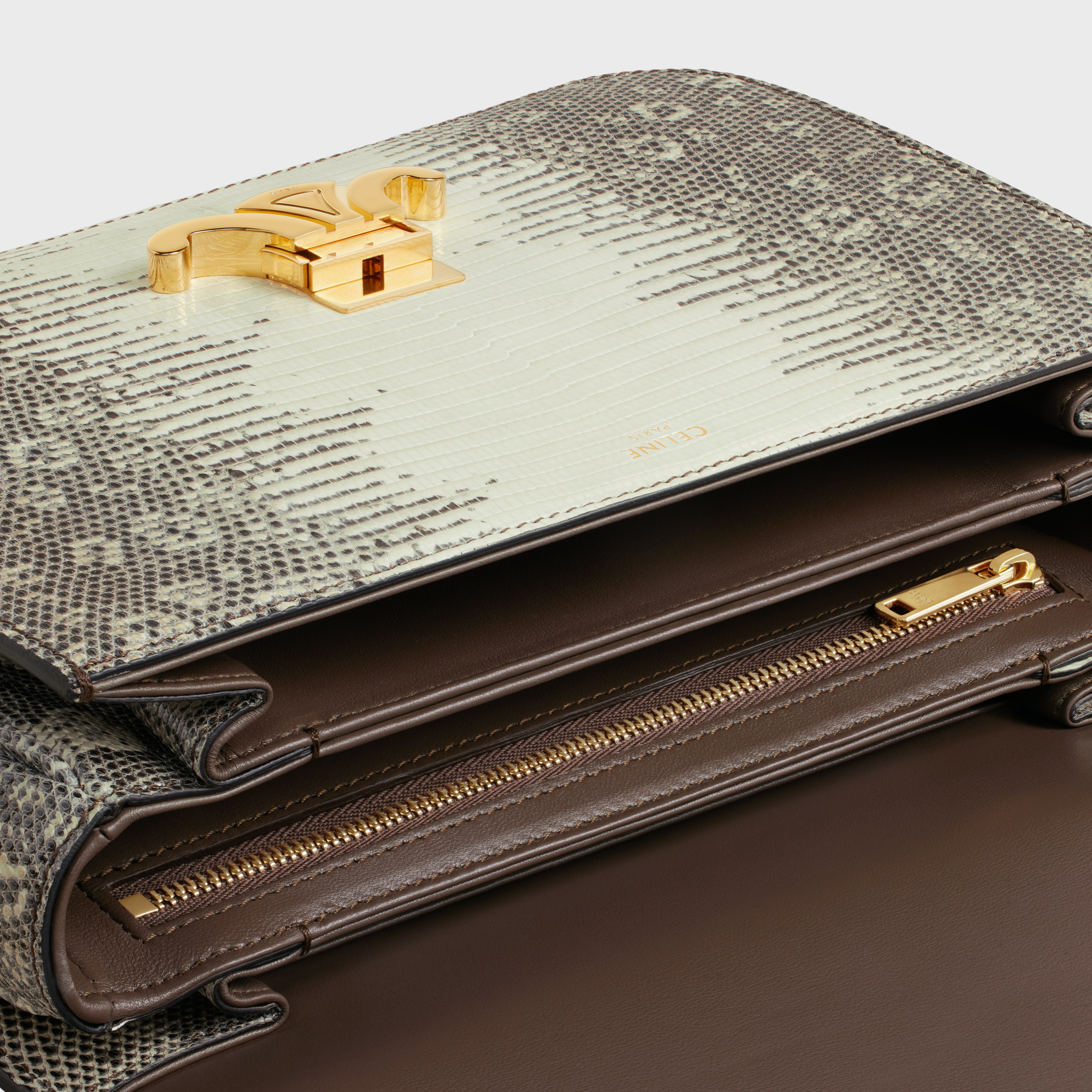 Classique Triomphe Bag in Lizard - 4