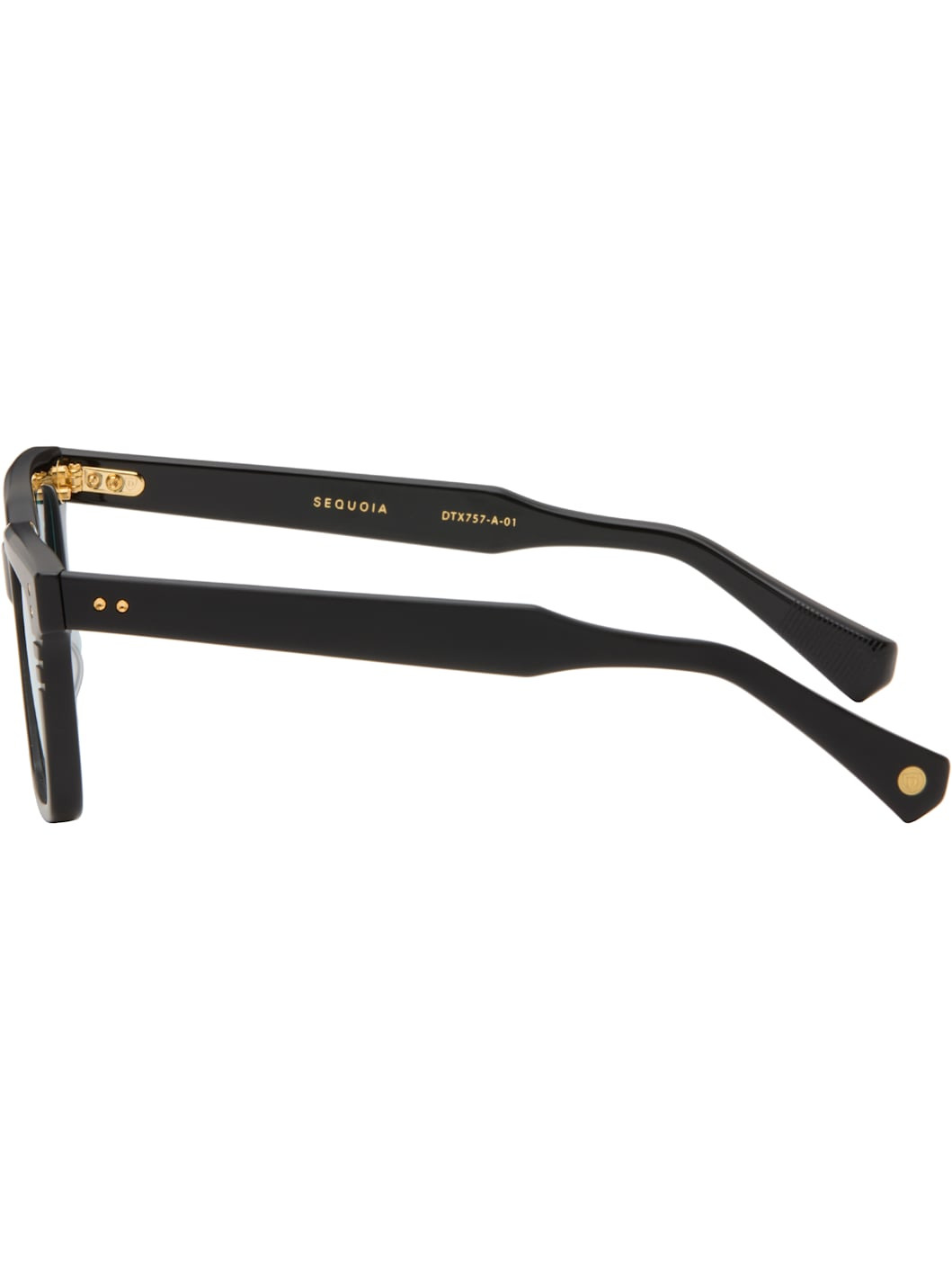 Black Sequoia Sunglasses - 3
