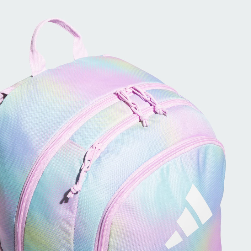 Affiliate Backpack 3