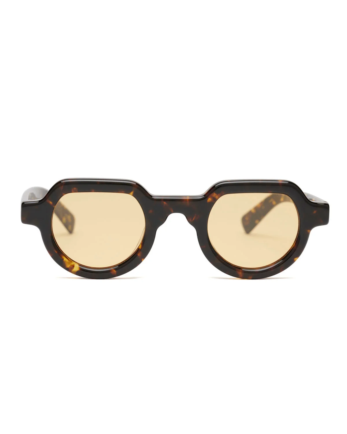 Tani Post Modern Primitive Eye Protection - Tortoise - 1