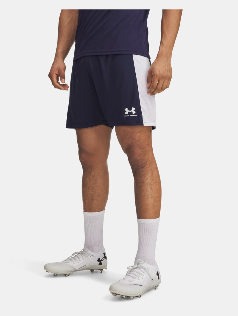Under Armour Men's UA Challenger Knit Shorts outlook