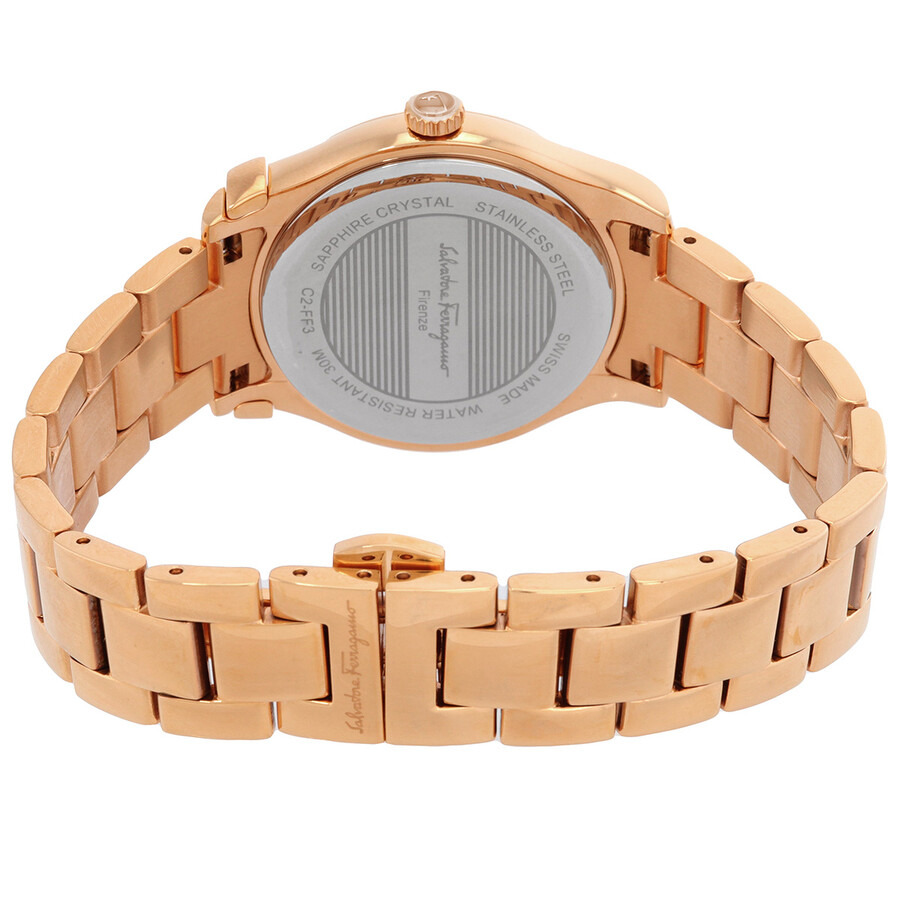 Ferragamo 1898 Quartz Silver Dial Ladies Watch FF3180014 - 3
