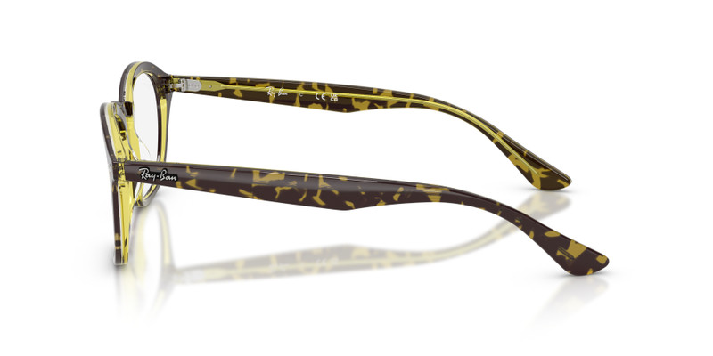 RB5451 OPTICS 5