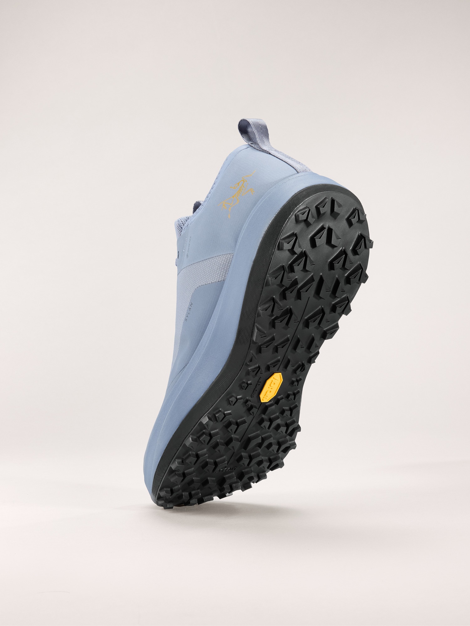 Sylan GTX Shoe - 4
