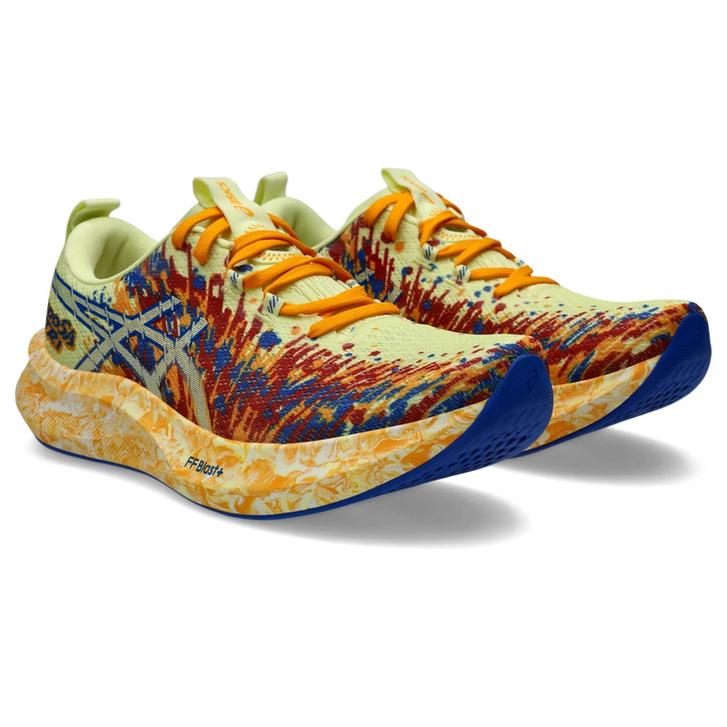 Asics NOOSA TRI 16 outlook