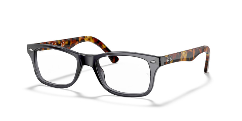 RB5228 OPTICS 1